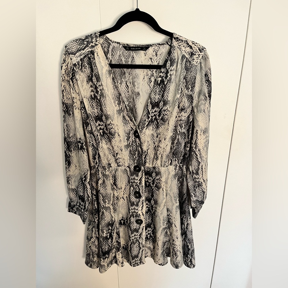 Zara silky snakeskin print dress. Button down A line, slight cinch at waist.